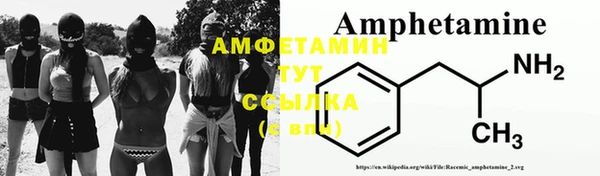 гашик Инта