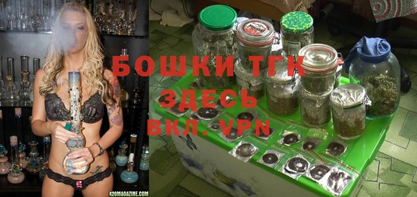мдма Заводоуковск