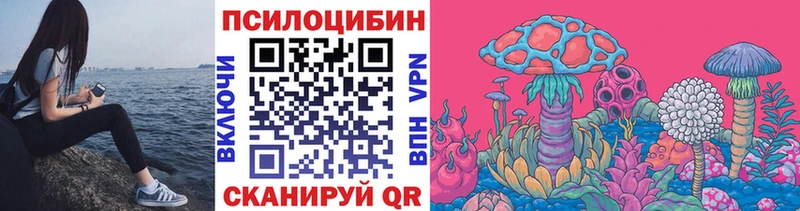 Псилоцибиновые грибы MAGIC MUSHROOMS  нарко площадка состав  Северо-Курильск 